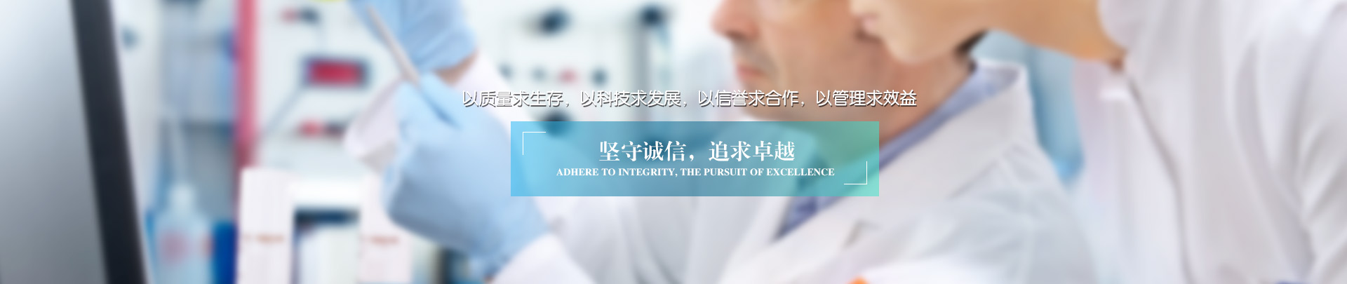 振華氣泡信封袋